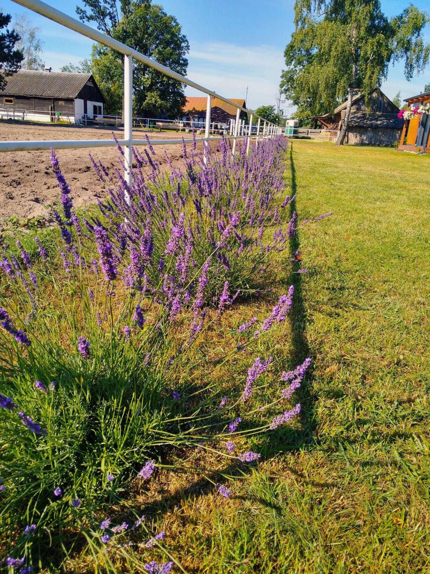 Domek Przy Stajni Bogdanowka Caloroczny Rossosz Exterior foto